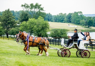 Horse drawn carriage wedding exit via The Knot